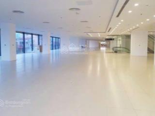 Cho thuê văn phòng tại 18 tam trinh vtc online dt 50m2  130m2  250m2  500m2 giá 120k/m2