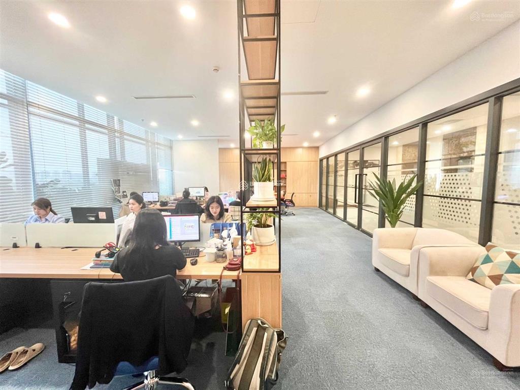 Chính chủ cho thuê vp tại cát linh, đống đa diện tích linh hoạt