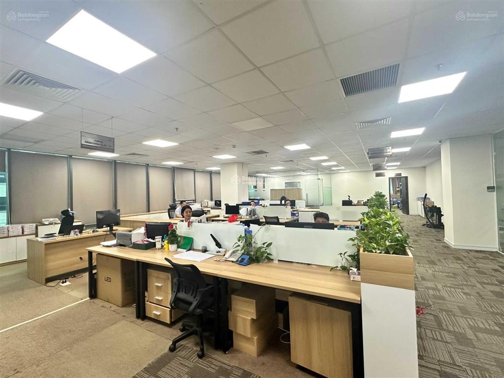 Cho thuê vp tòa sudico  mỹ đình, phạm hùng diện tích 100m2