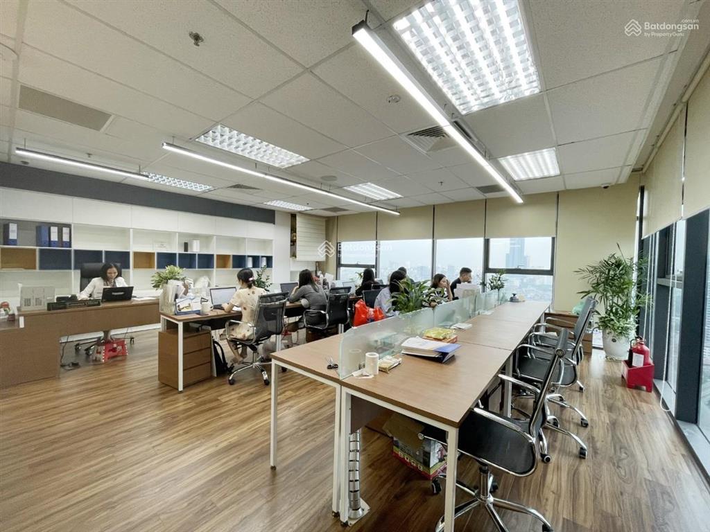Cđt cho thuê vp tòa skyline, 36 hoàng cầu diện tích 200m2 giá chỉ 160nghìn/m2/th