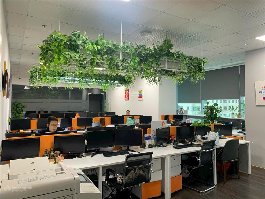Cho thuê văn phòng tại quận hoàn kiếm 150m có cắt nhỏ giá cực hời