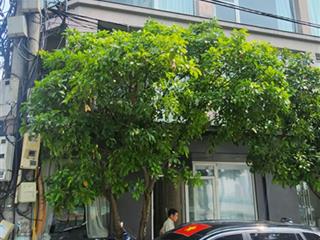 Mặt phố trần quốc vượng,cầu giấy, 10 tầng, tòa văn phòng, bệnh viện, phòng nha khóa, vị trí số 1 .