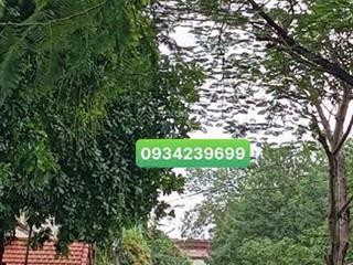 Bán đất tặng nhà c4 đức giang dt110 m x6mt giá đầu tư 13,1 tỷ ô tô vào nhà . dt và mt rộng giá rẻ