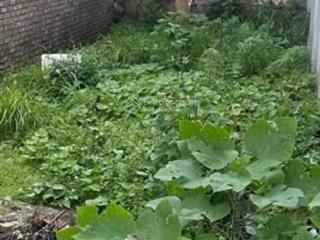 Cần bán mảnh đất ngọc thuỵ long biên dt 95 m2 x 5m mt giá 11,5 tỷ ô tô thông gần chợ ngọc thuỵ