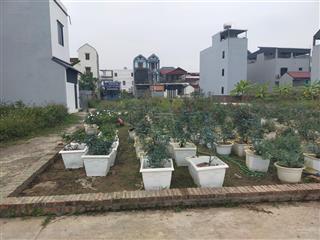 Mảnh đất đẹp tại tt quang minh mê linh hn chính chủ cần bán gấp lô đất trước tết 69'3m2 đường