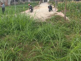 Tại đường bờ hồ thanh trí kim anh sóc sơn hn dt87,5m2
mt4,9m ưu điểm 2 mặt tiền lô góc