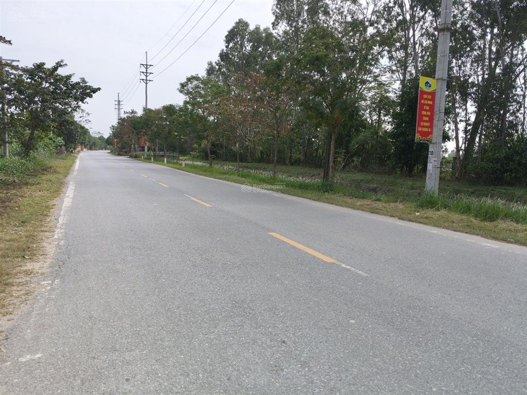 Mua đất tặng nhà vt mảnh đất đẹp tại tổ 7 tt quang minh đi vài bước ra ngay đại lộ võ văn