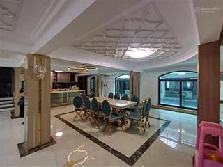 Biệt thự tây hồ  gara 3 ôtô  mặt tiền khủng bố  nội thất hiện đại  2 mặt ngõ  4 thoáng  thang