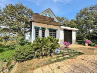 Cần bán đất có vườn trái cây và nhà cấp 4 ngay nhơn trạch, đồng nai. giá 1ty990, dt 613m2. sh