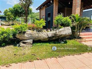 Bán đất tp đồng xoài  2080,4m2  200 thổ cư, đúng giá 800tr  shr. đất có nhà cấp 4+vườn trái cây