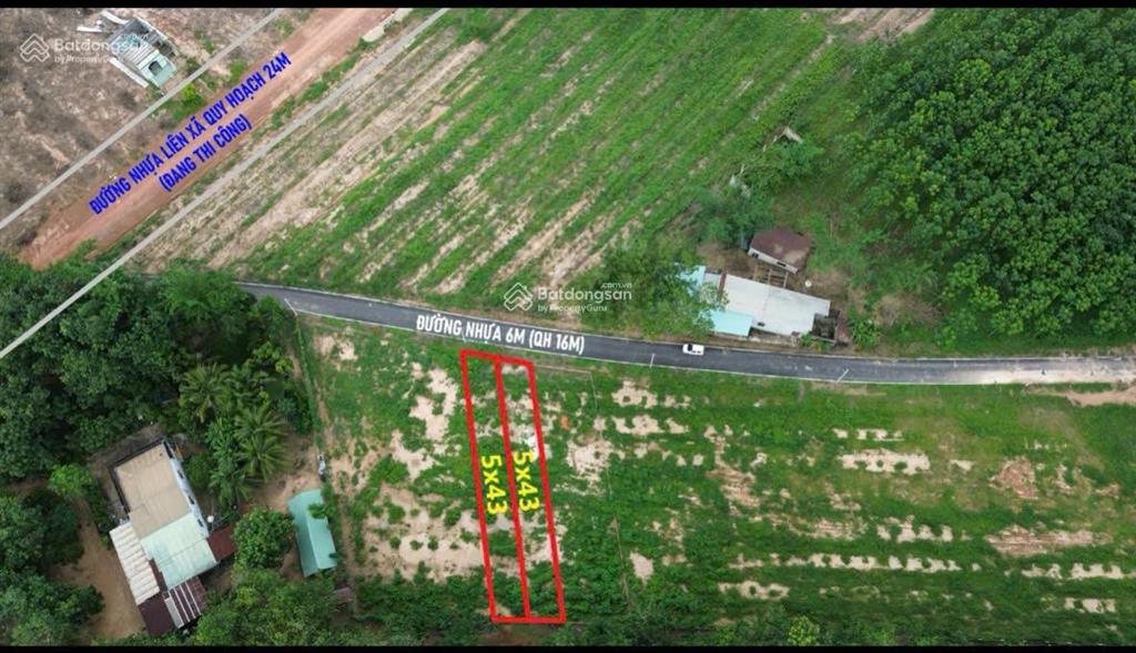 Đất long tân dầu tiếng bán gấp 550 triệu
