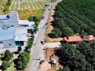 Bán 2.100m2  vườn bưởi  trừ văn thố  bàu bàng  1.78 tỷ  có thương lượng