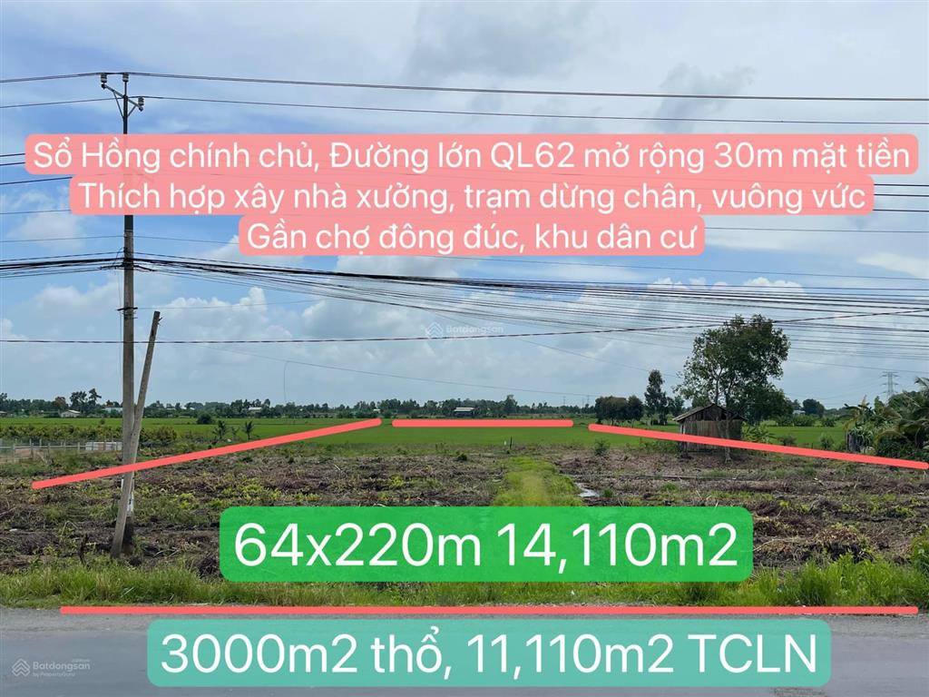 Cần bán đất nền thạnh hoá long an, giá 59 tỷ, diện tích 14,780m2, mặt tiền 64m ql62, đường lớn 30m.