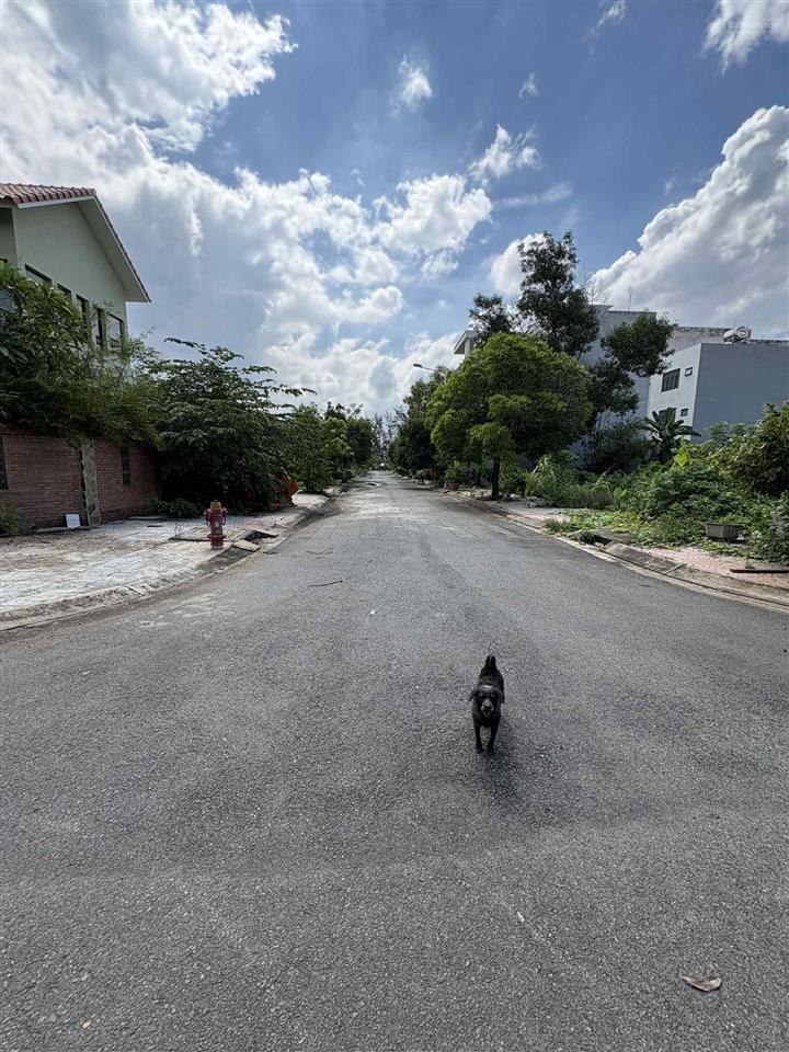 Đất trục liên phường 111m2 (6x18.5 vuông, shr) p phú hữu, tp thủ đức (9tỷ100)