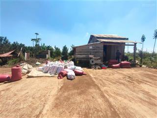 Sở hữu ngay hơn 2ha đất vườn đẹp chuẩn "kim cang" giá chỉ 5 tỷ 9