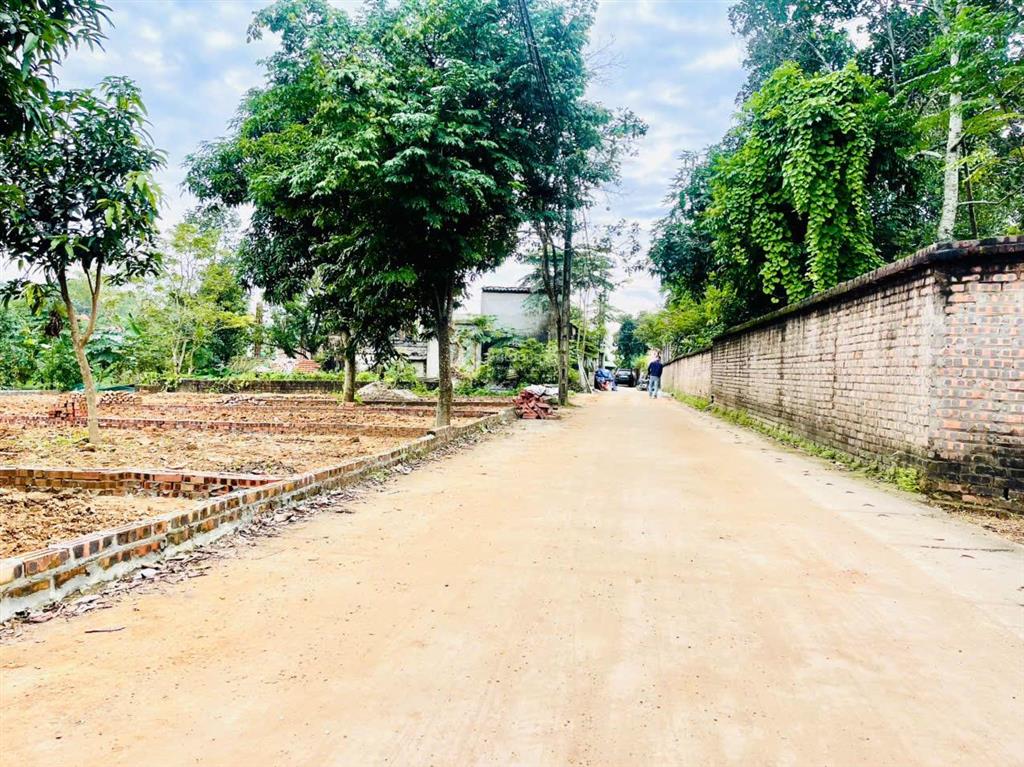 Giá tốt nhất thị trường sở hữu ngay 186m2 sổ đỏ hà nội, đất phường, siêu tiềm năng