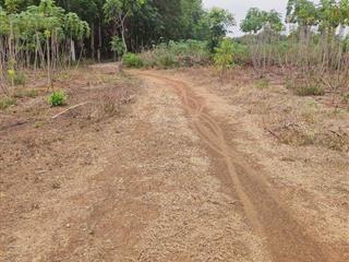 Bán 1 sào đông hòa, giá 450 triệu, diện tích 1000m2, sổ sẳn công chứng trong ngày