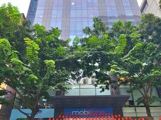 Bán nhà mặt phố nguyễn khánh toàn, vị trí đẹp nhất tuyến phố, 100m², dt 80tr/th, 55,5 tỷ 0363 590 ***