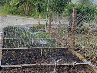 Bán đất gần ubnd xã diên đồng cũ, giá rẻ