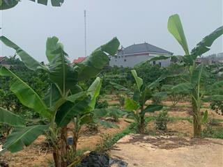 Bán 3 lô đất vuông đẹp trung tâm phường phượng sơn tx chũ lục ngạn, bắc giang giá đầu tư