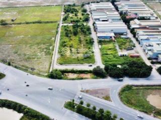 Bán xuất ngoại giao 1000m2, vị trí đẹp, ccn thanh thùy giai đoạn 2, giá chỉ từ 15tr/m2