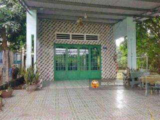 Cần bán đất có vườn trái cây và nhà cấp 4 ngay nhơn trạch, đồng nai. giá 1 tỷ 800, dt 600m2. shr