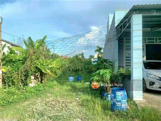 Chính chủ bán đất mt kinh doanh bình nhâm 23 174m2(7x29) sẵn thổ cư 100m2, đường ô tô thông 2 đầu