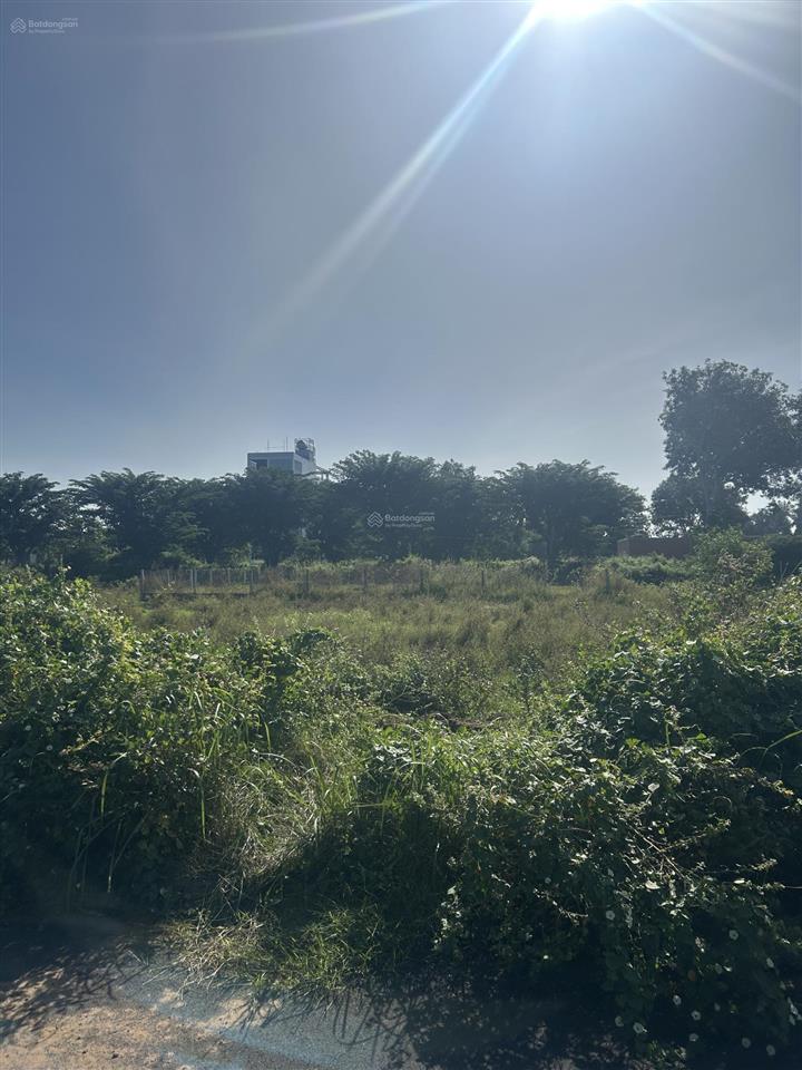 Chính chủ cho thuê đất ngay cạnh sa bàn dự án vinhomes cần giờ giá chỉ 12tr cho thuê lâu dài