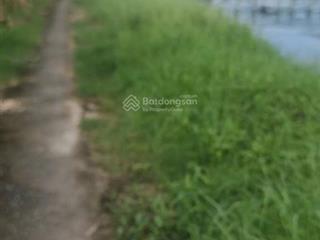 Cần bán 1,3ha đất tại xã nhựt minh, huyện tân trụ, tỉnh long an