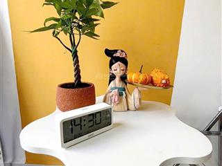 Tòa chdv hxh nguyễn đình chiểu, p4, q3. dt 6x10m, 5 tầng 19.9 tỷ