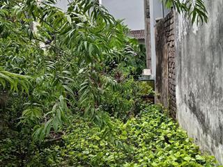 Bán đất thanh nhàn, 10,5 tỷ, 82m2, hàng hot