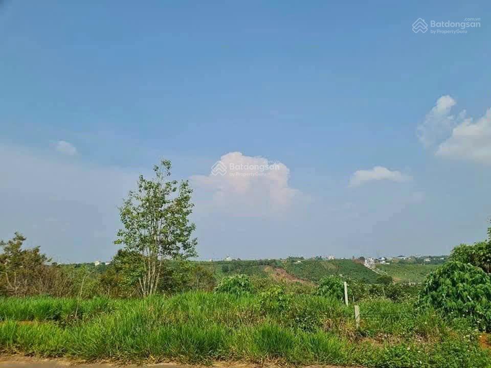 168m2 đất sẵn thổ cư nguyễn an ninh, tp bảo lộc