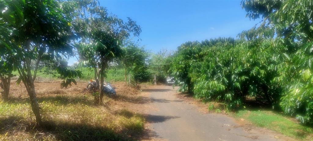 Bán lô đất ngộp giá rẻ tân lạc bảo lâm