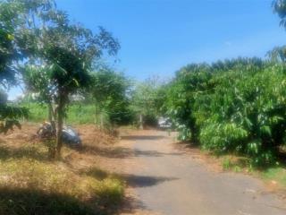 Bán lô đất ngộp giá rẻ tân lạc  bảo lâm