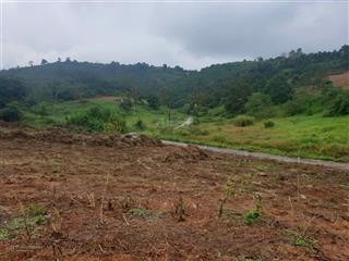 Bán đất sẵn thổ cư tân lạc, giá đầu tư