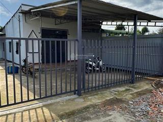 Bán nhà cấp 4 sẵn cây ăn trái tân lạc giá cực rẻ