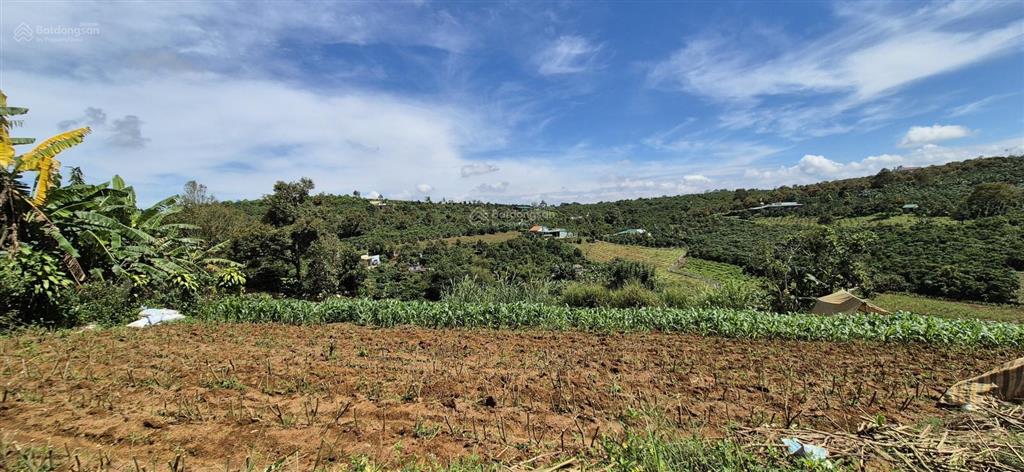 Bán đất thổ cư 2473m2 sổ hồng chính chủ tại bảo lộc