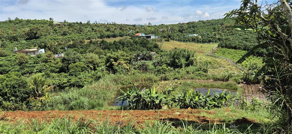 Bán đất thổ cư 2473m2 sổ hồng chính chủ tại bảo lộc