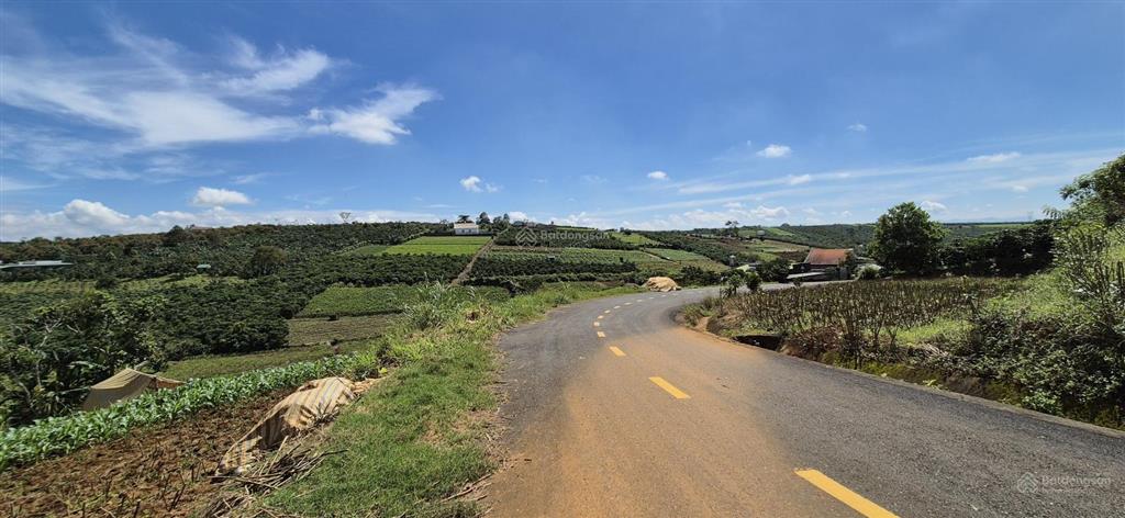 Bán đất thổ cư 2473m2 sổ hồng chính chủ tại bảo lộc