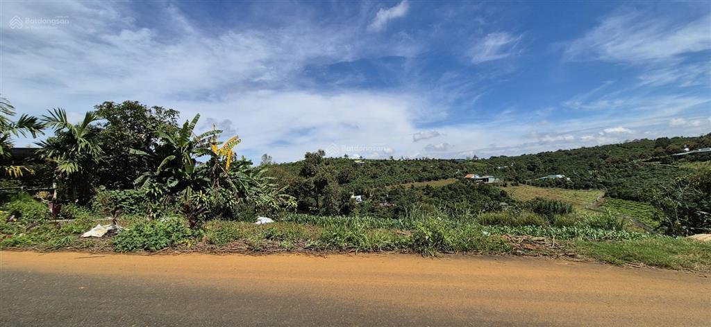 Bán đất thổ cư 2473m2 sổ hồng chính chủ tại bảo lộc