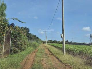 Bán đất sổ hồng chính chủ ngay gần trung tâm bảo lộc