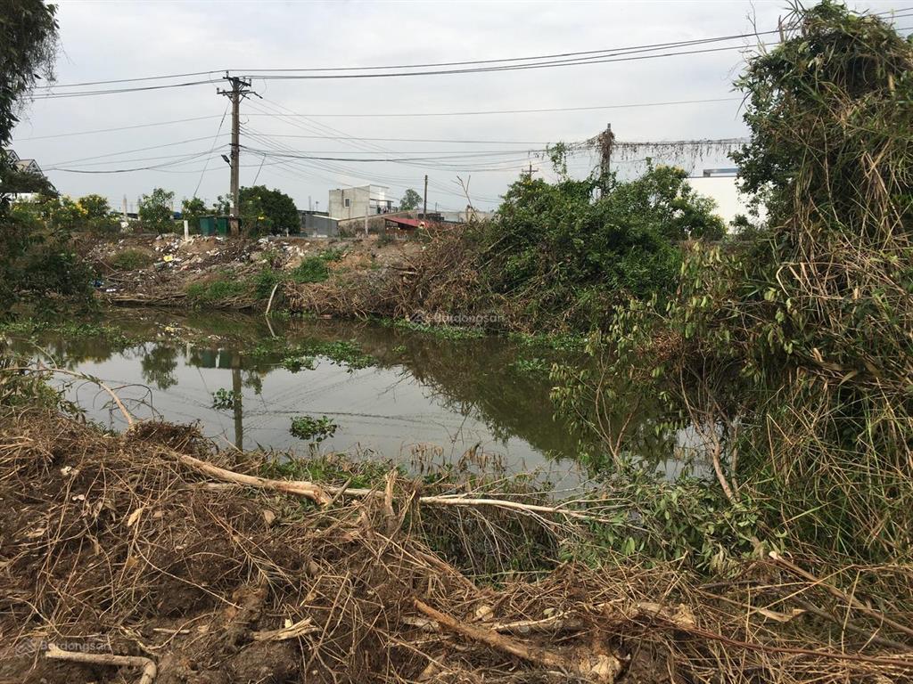 Bán đất đối diện chợ hưng thạnh, gần kcn long giang (tân phước,tiền giang), 396tr/190m2