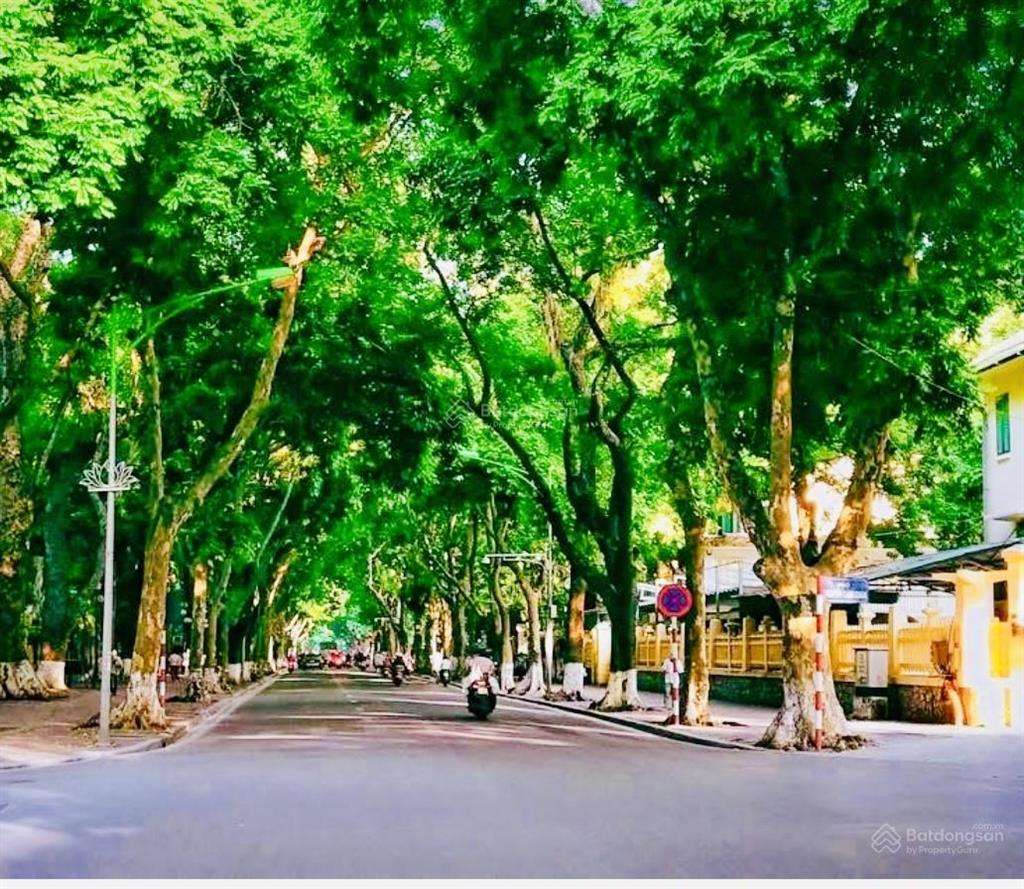 Trái tim biệt thự pháp cổh,iế,mđẳng cấpgần ô tôdòng tiền ổn địnhhomestay siêu hút kháchan