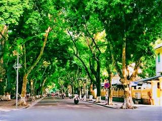 Trái tim biệt thự pháp cổh,iế,mđẳng cấpgần ô tôdòng tiền ổn địnhhomestay siêu hút kháchan