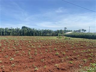 Chính chủ cần bán lô đất đẹp 2000m2 50m mặt tiền tại hoà hiệp, xuyên mộc giá 6 tỉ