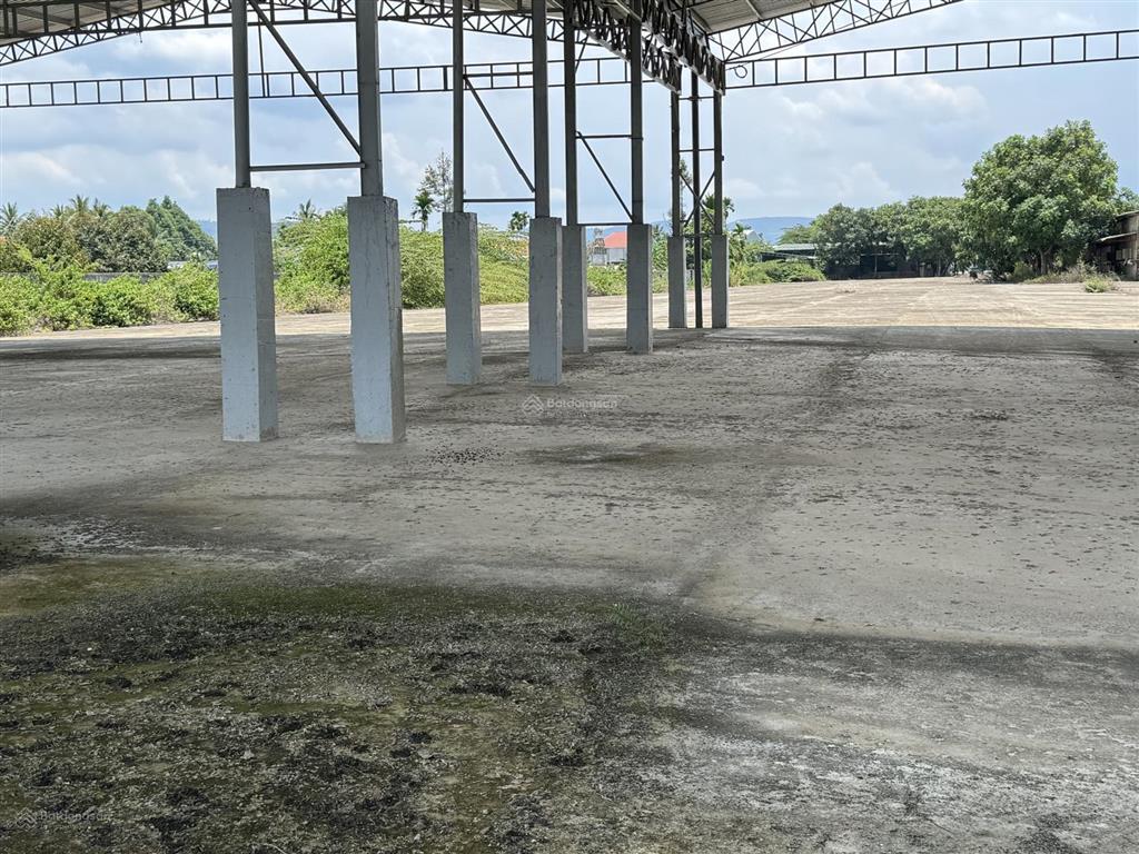 Bán đất 2350m2 tại mt phan đăng lưu, phước mỹ, phan rang tháp chàm, giá tốt 15,5 tỷ vnd