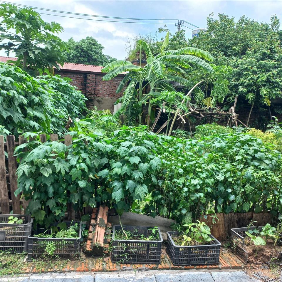 Bán đất đẹp 42m.mt 4,5m giá hơn 2 tỉ 0t0 đỗ cửa tt đông anh hà nội
