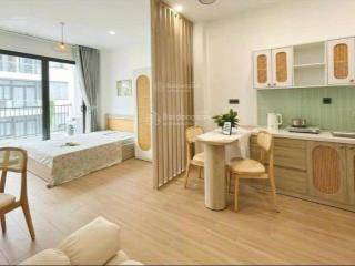 Cho thuê căn hộ tân định quận 1, studio cao cấp mới 100% balcony & tách bếp  nội thất hiện đại