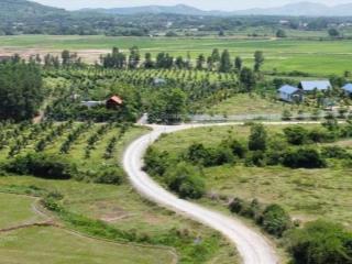 Đất vườn lâm đồng phù hợp làm homstay