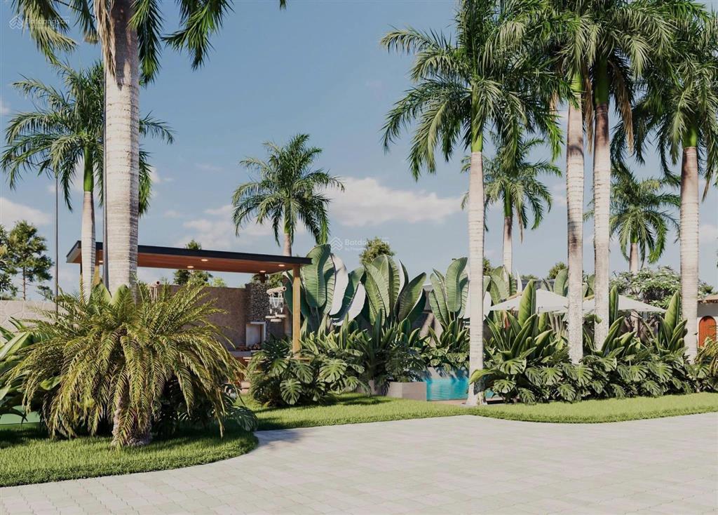 Bán đất ven biển, 68 tỷ, 10000m2, mặt tiền 60m, xuyên mộc, bà rịa vũng tàu, hot!
